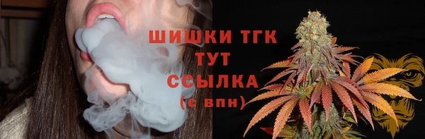 дмт Михайловск