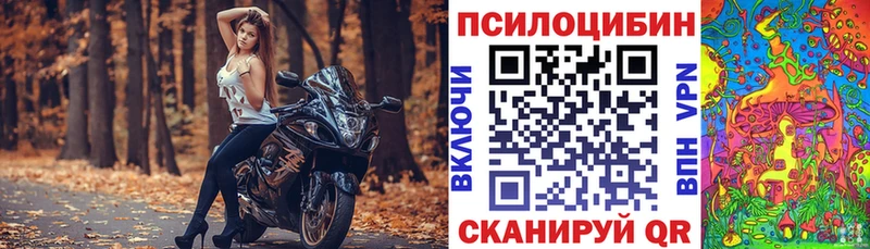 mega рабочий сайт где продают Щигры Псилоцибиновые грибы Cubensis