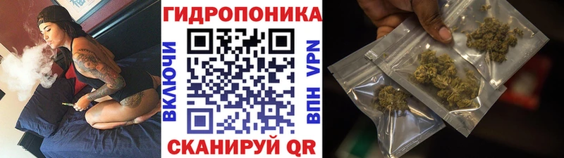 Канабис ГИДРОПОН цены мориарти наркотические препараты Щигры